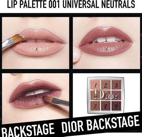 dior backstage lip palette 001.